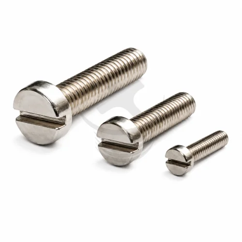 Electrical Part Screw