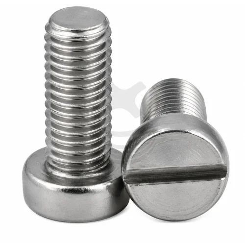 Electrical Part Screw
